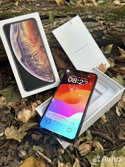 iPhone Xs Max, 256 ГБ