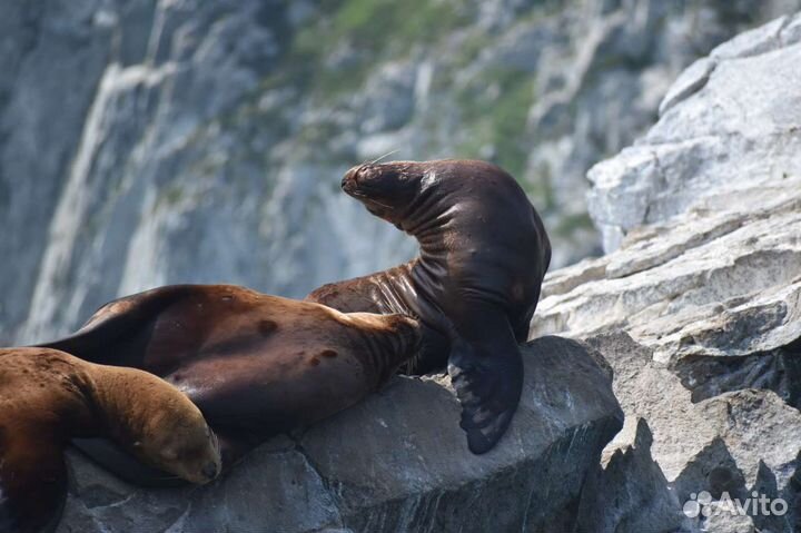 Морская прогулка на парусной яхте