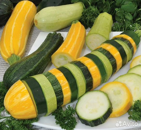 Кабачки и цуккини домашние