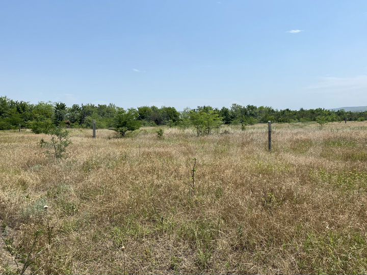 Участок 6 сот. (ИЖС)