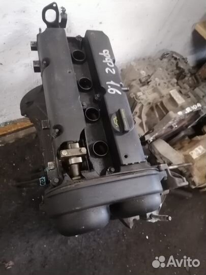 Двигатель форд фокус 2 1,6 shda