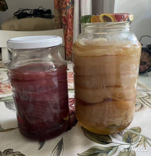 Отдам бесплатно чайный гриб