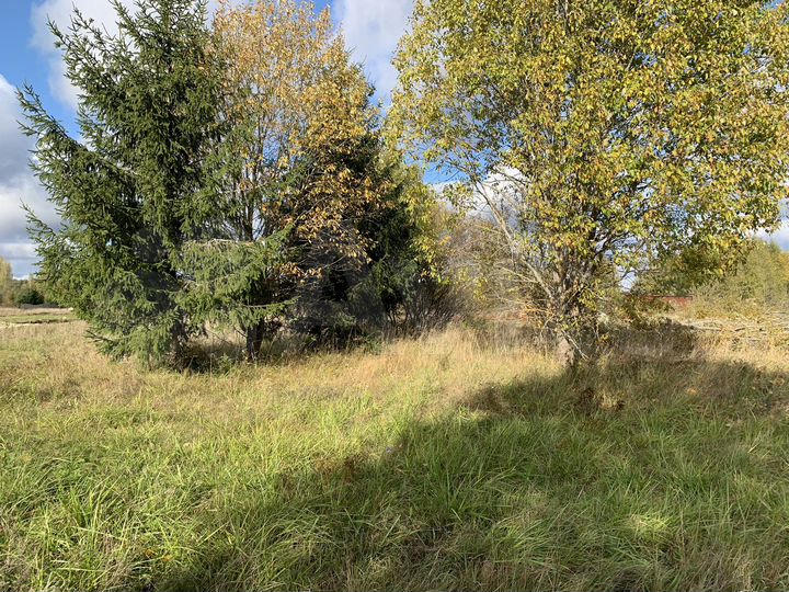 Участок 12 сот. (ИЖС)