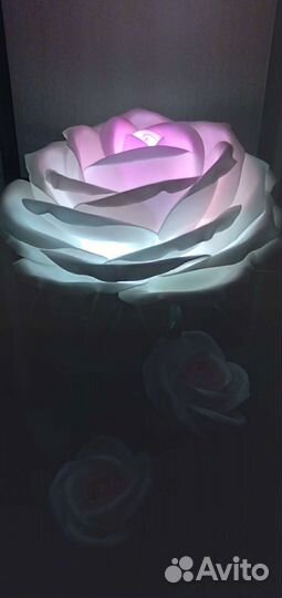 Роза торшер