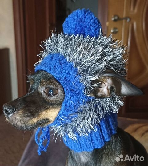 Одежда - Шапочки для Маленьких собачек