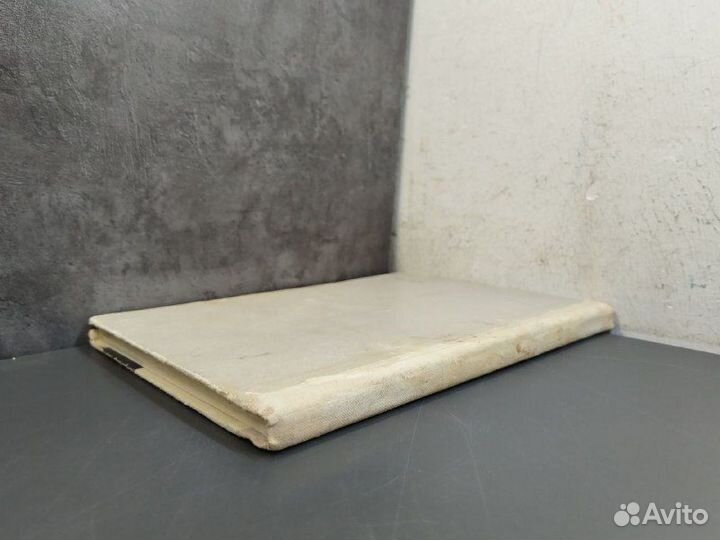 В. Сиснев. Мальчишка