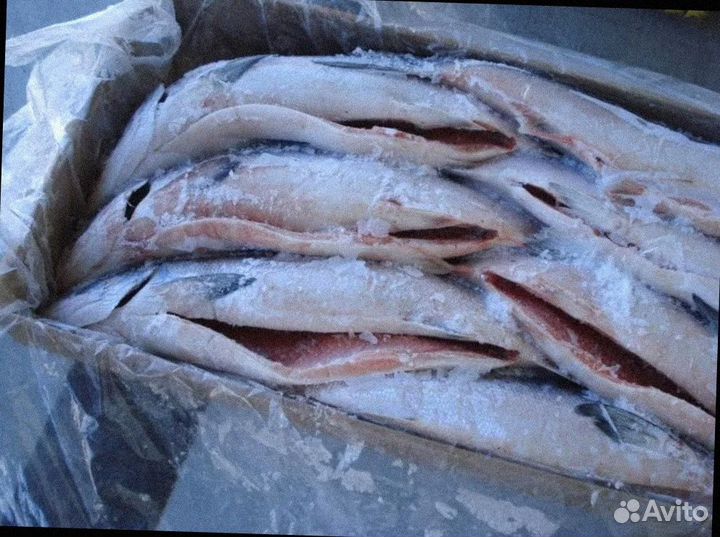 Инвестиции в развитие поставок рыбы с Сахалина