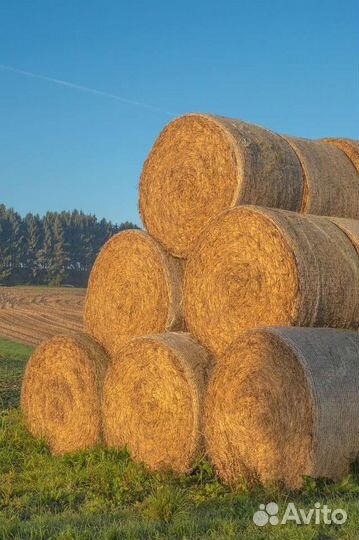 Солома,навоз