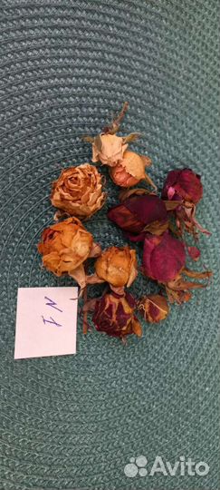 Бутоны роз. Сухоцвет. Творчество