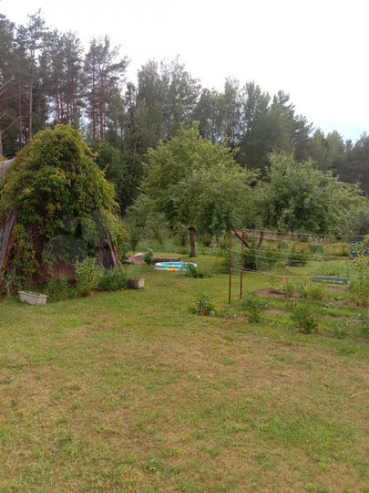 Участок 10 сот. (ИЖС)