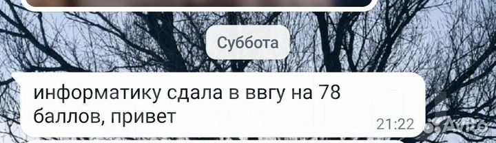 Репетитор по математике и информатике егэ огэ