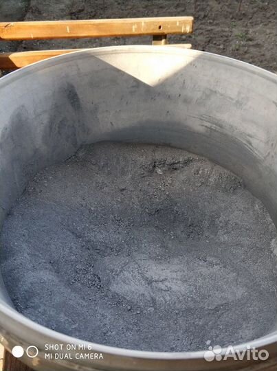 Серебрянка сухая