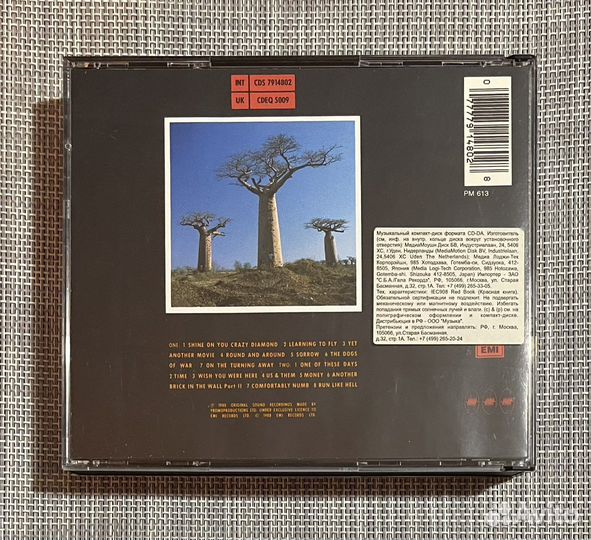 Pink Floyd-Delicate Sound of Thunder/Live/ 2CD