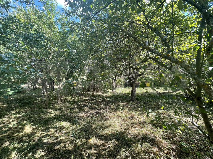 Участок 30 сот. (ИЖС)