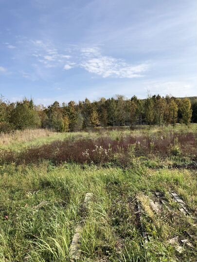 Участок 22,5 сот. (СНТ, ДНП)