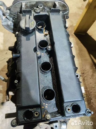 Двигатель ford focus 2 1.6 115 л с