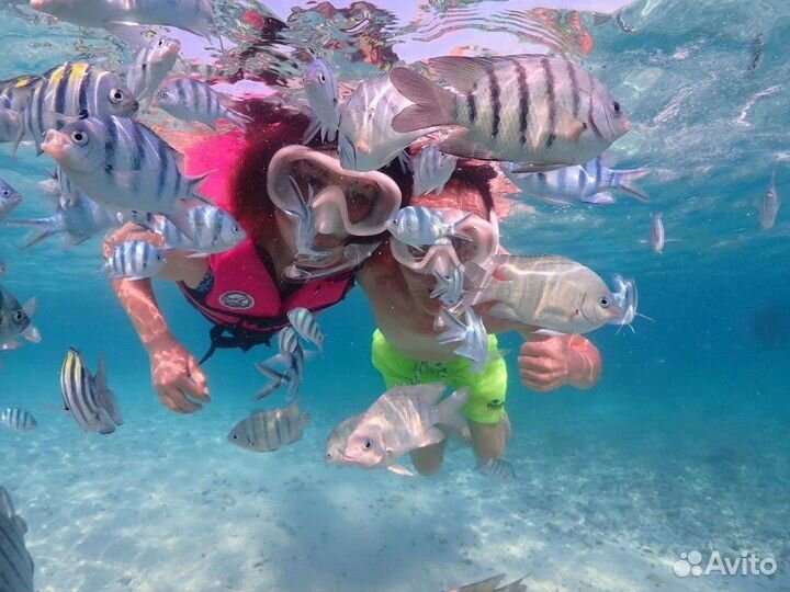 Подводная Одиссей, Паттайя, Таиланд