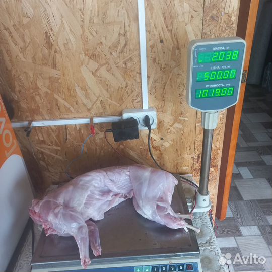 Мясо кролика