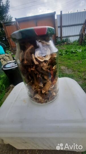 Грибы в наличии и на заказ.боровики,подосиновики