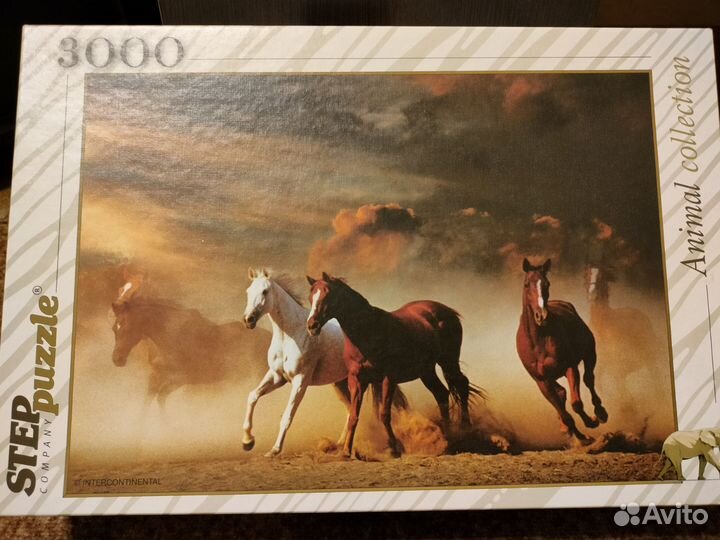 Пазл 3000 очень сложный