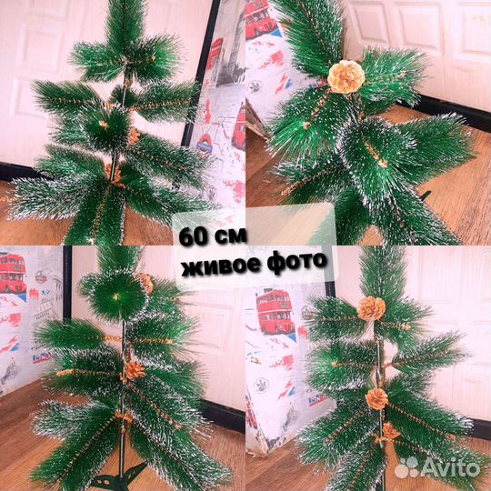 Сосна новогодняя (в наличии)