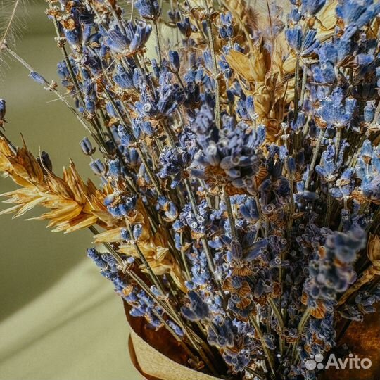 Букет сухоцветов Лаванда