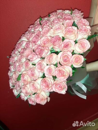 Розы свежие Prestige с доставкой