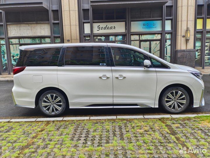 GAC GN8 2.0 AT, 2022, 28 700 км