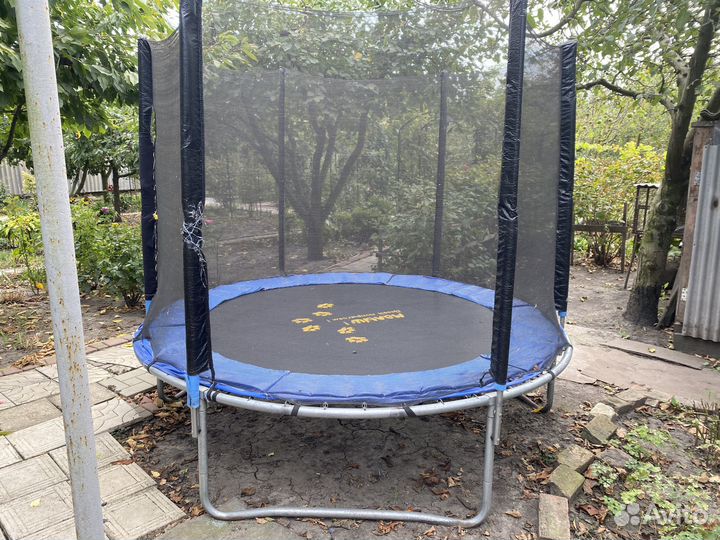 Батут с защитной сеткой (размер 2.44 см)