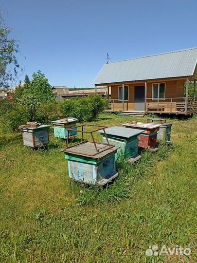 Продам ульи для пчел