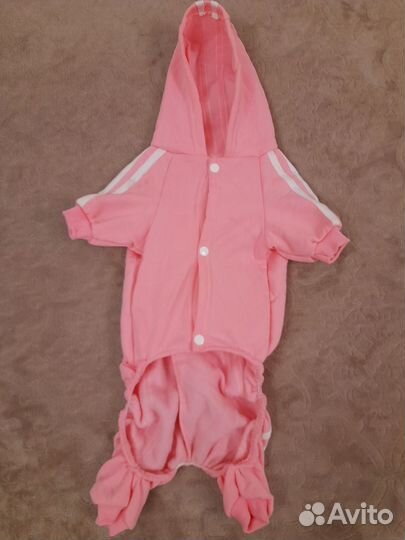 Костюм для собаки