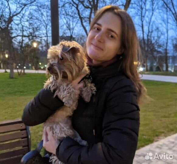 Передержка животных (няня для собак и кошек)