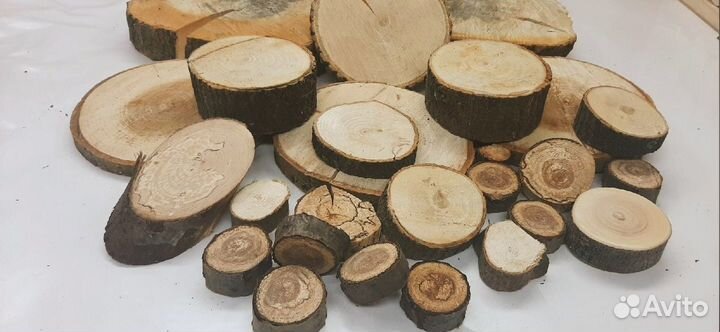 Спилы деревьев