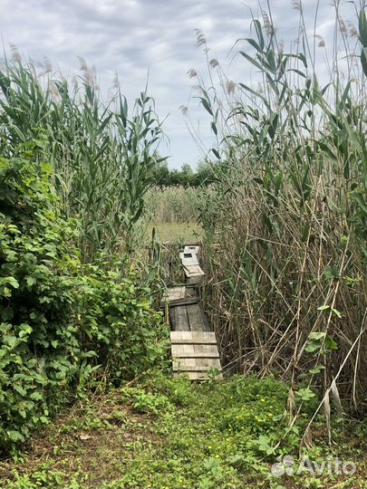 Личное подсобное хозяйство