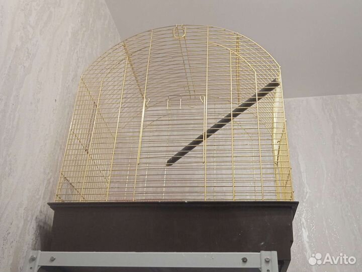 Большие и маленькие клетки для попугаев. Доставка