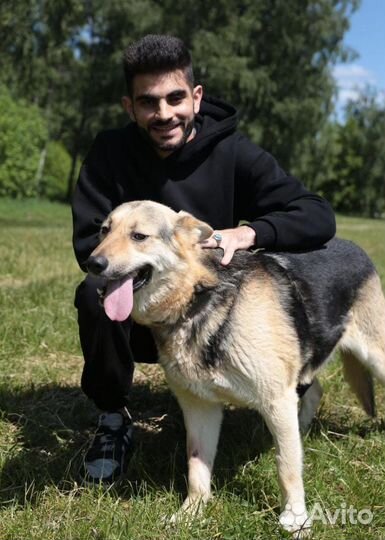 Джем страдает от одиночества