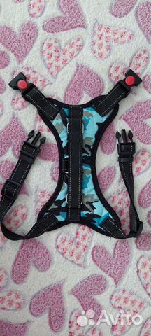 Шлейка для собаки