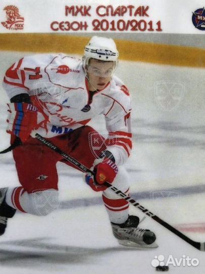 Тренер по хоккею и офп