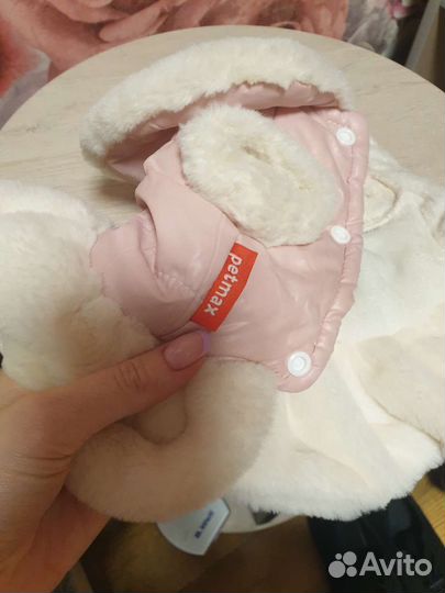 Одежда для собак