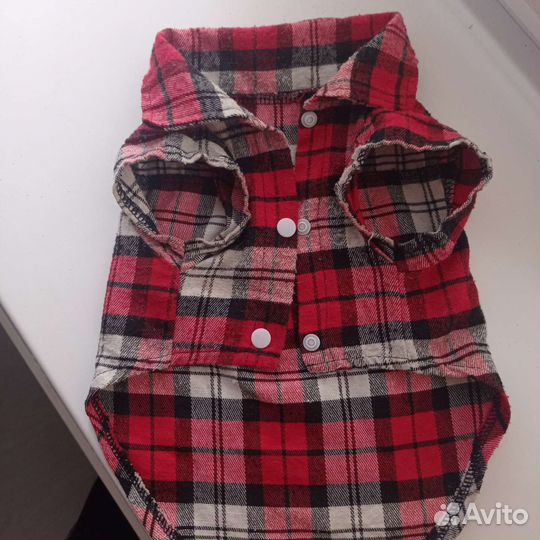 Одежда для собак, ботинки