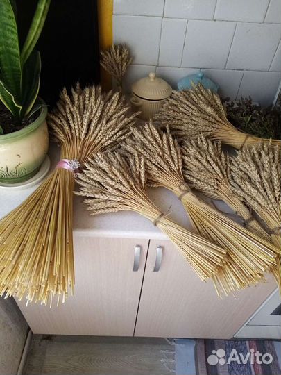 Букет из пшеницы, пшеничный букет пшеница