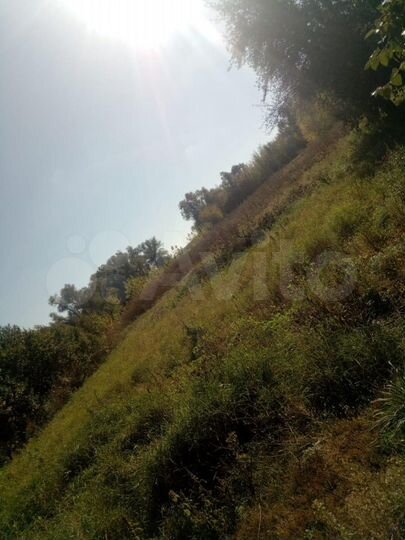 Дом 50 м² на участке 33 сот.