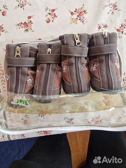 Ботинки для маленьких собак