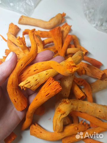 Сушеные ветки для декора