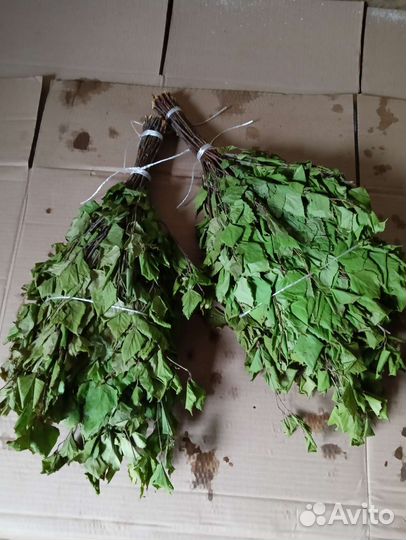 Березовые веники