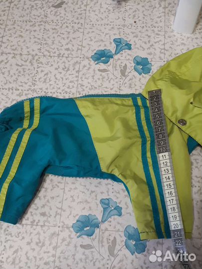 Дождевик для маленькой собаки