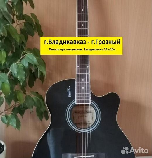 Акустическая гитара Elitaro