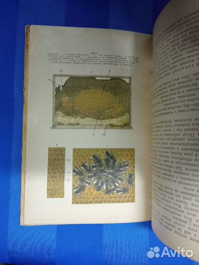 Учебник пчеловода, Москва, Колос, 1973, книга СССР