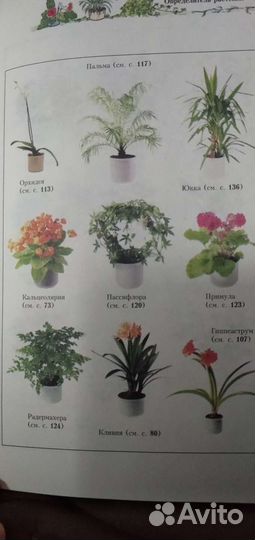 Книга комнатные растения