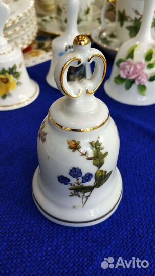 Колокольчик Ботаника Western Германия